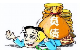 惠东债务清欠服务