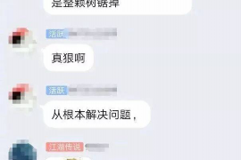 惠东企业清欠服务